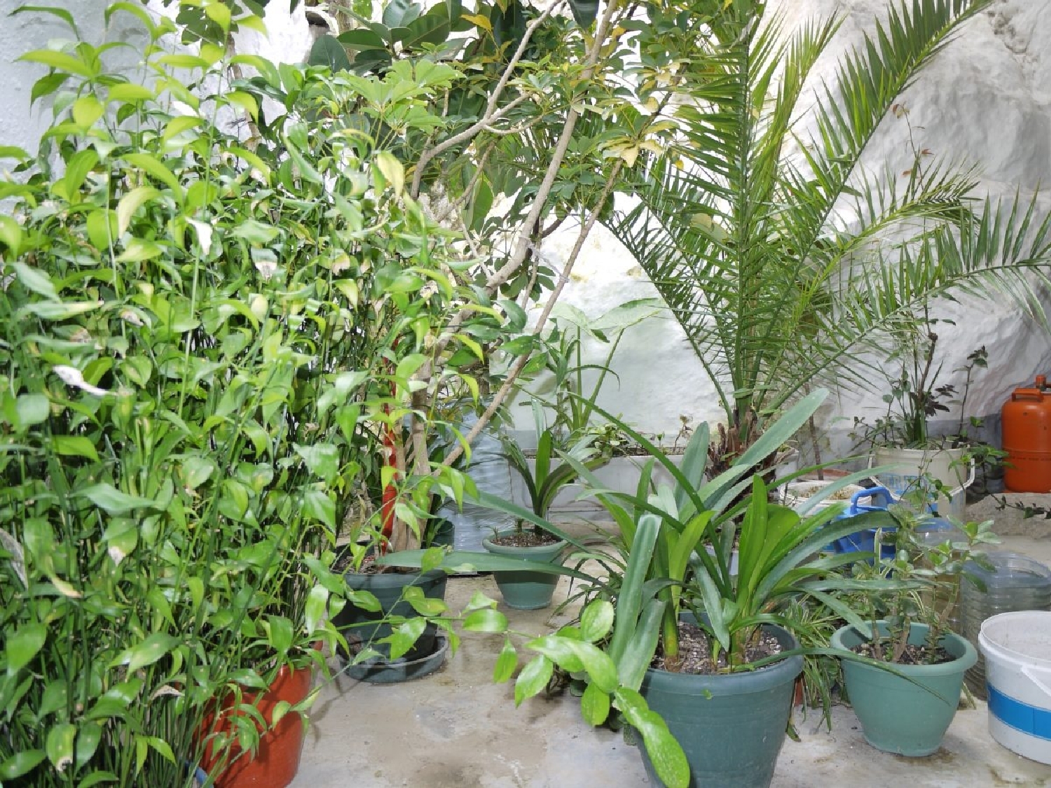  kaufen Reihenhaus Olvera Sierra De Cádiz 9