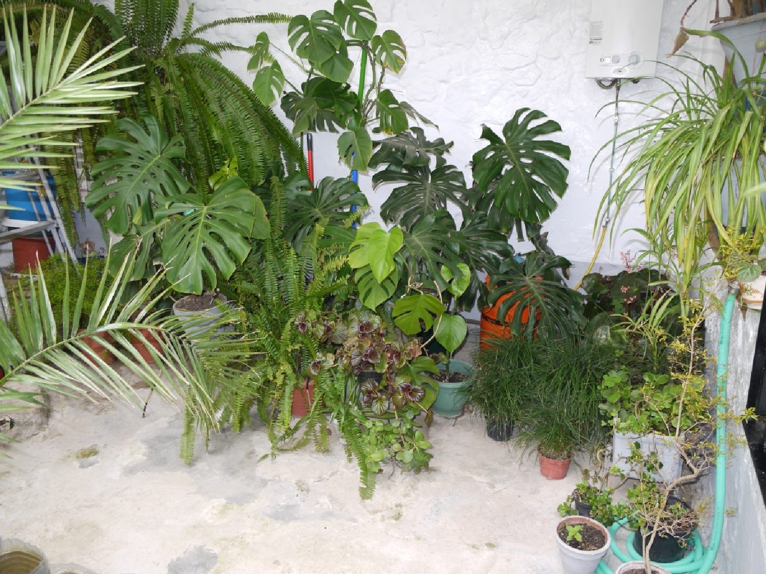  kaufen Reihenhaus Olvera Sierra De Cádiz 8