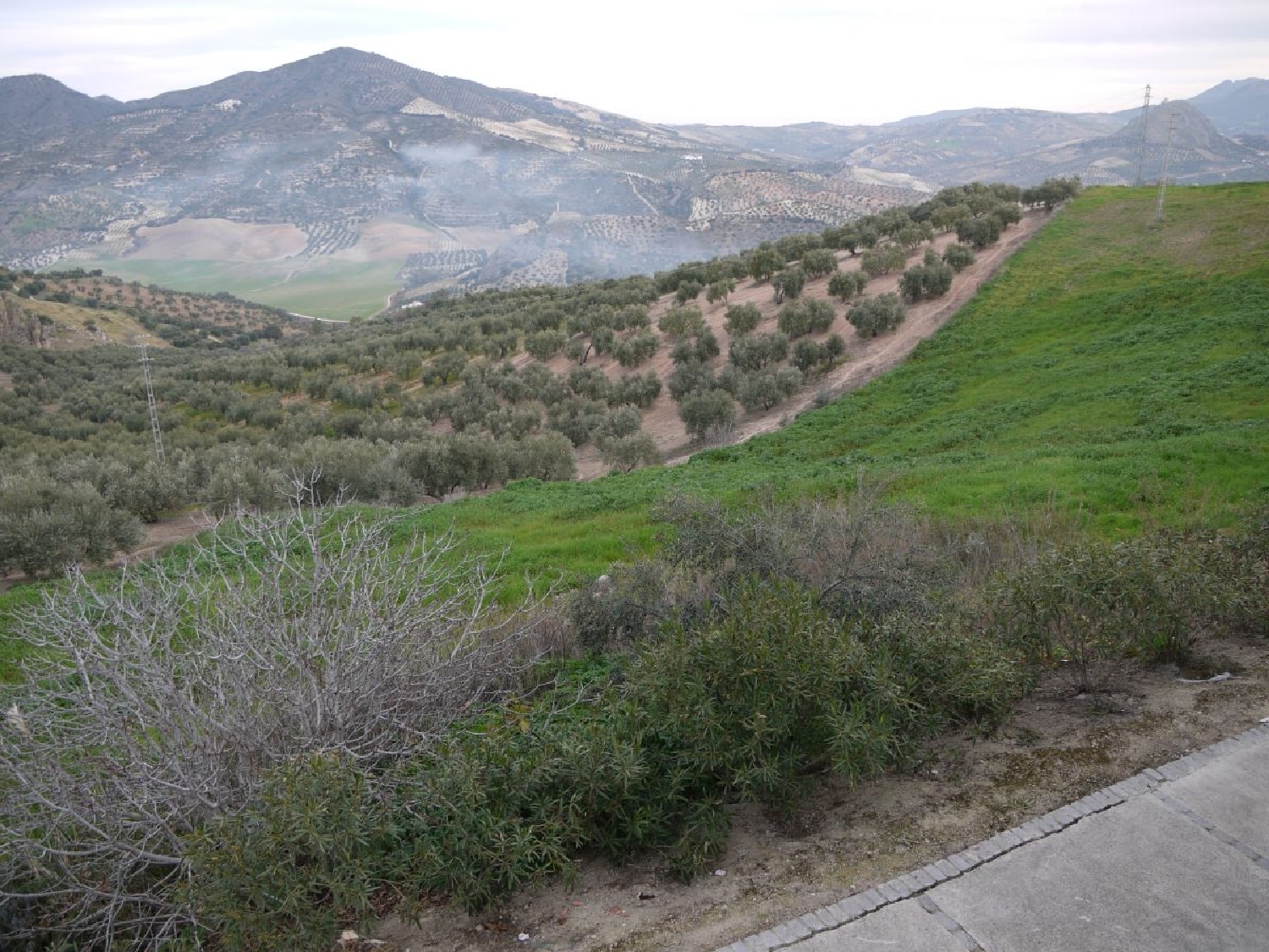  en venta casa de pueblo Olvera Sierra De Cádiz 13