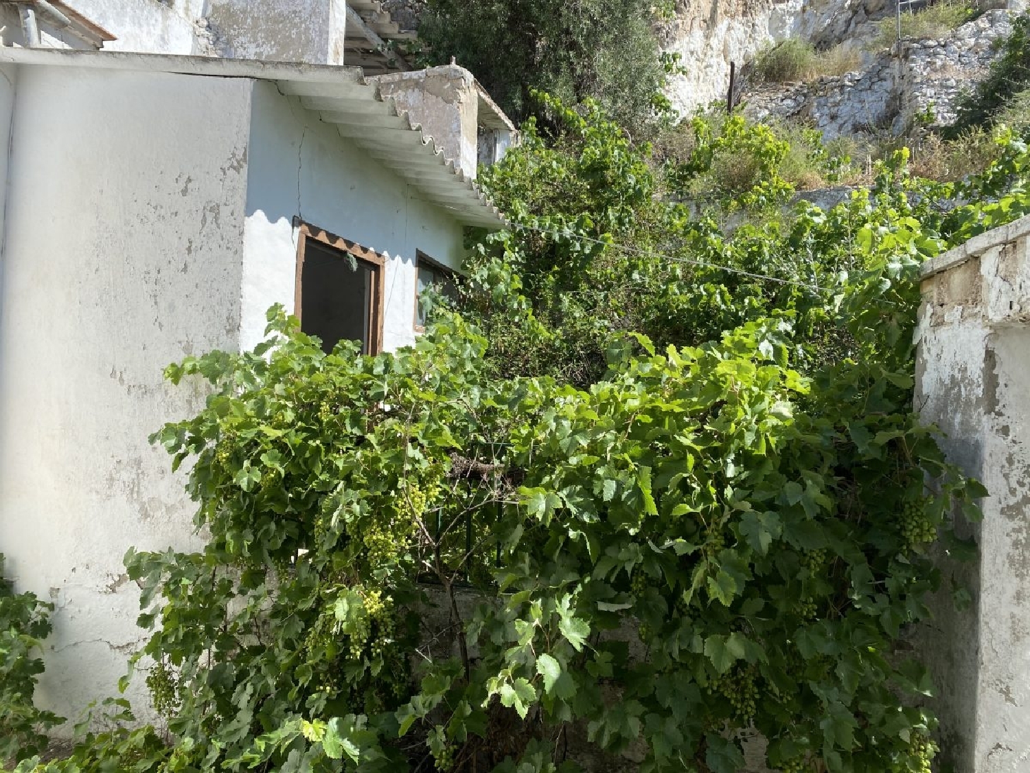  kaufen Reihenhaus Olvera Sierra De Cádiz 14