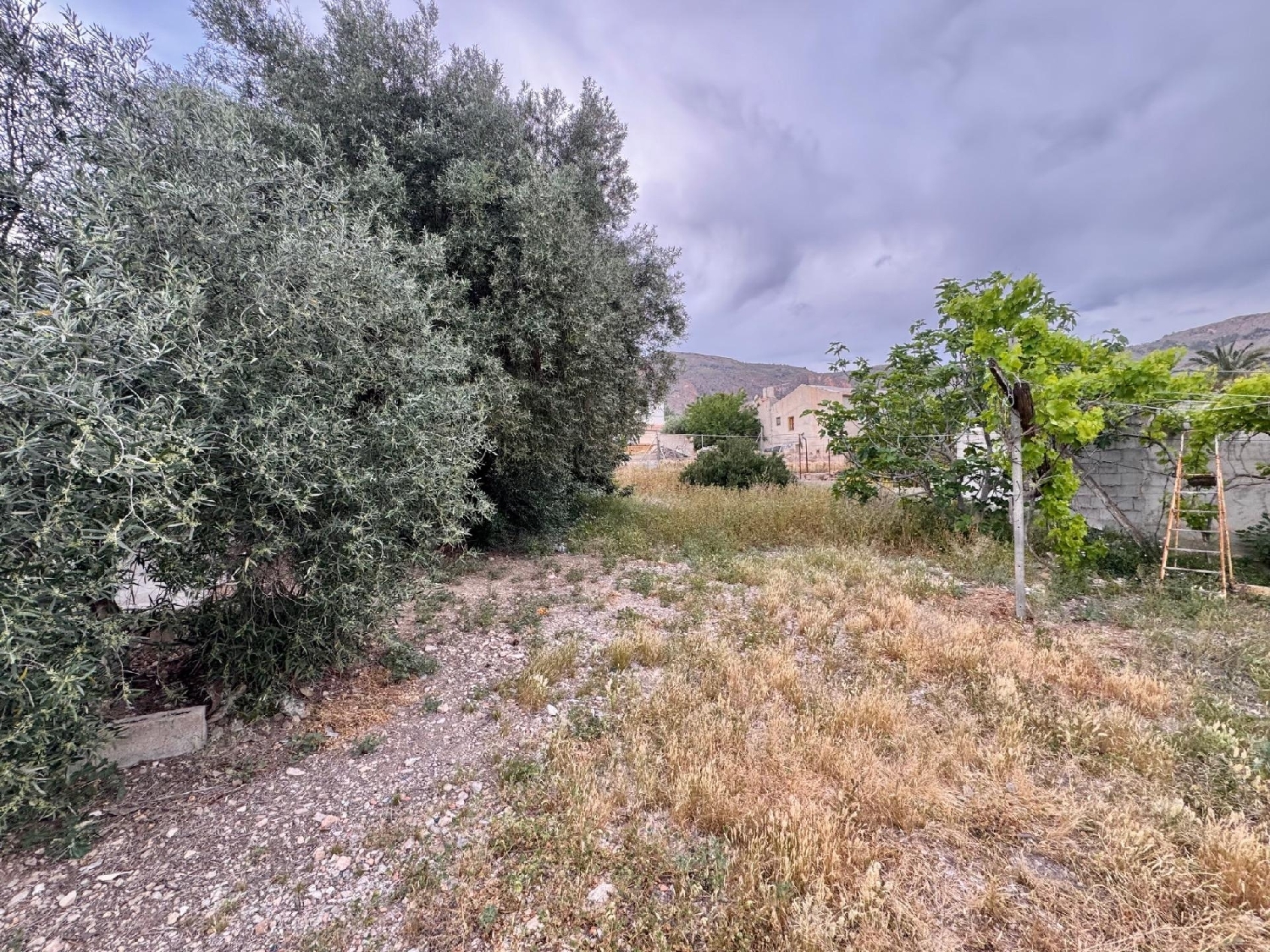 kaufen Reihenhaus Orihuela Baix Segura 3