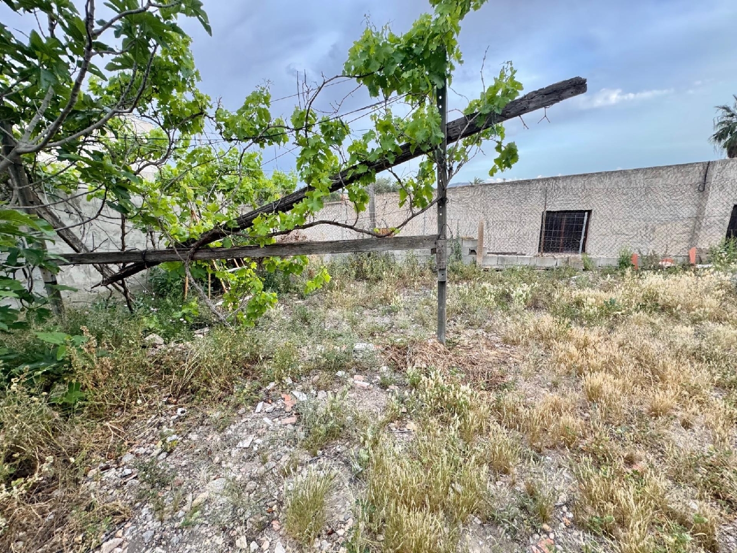  kaufen Reihenhaus Orihuela Baix Segura 5