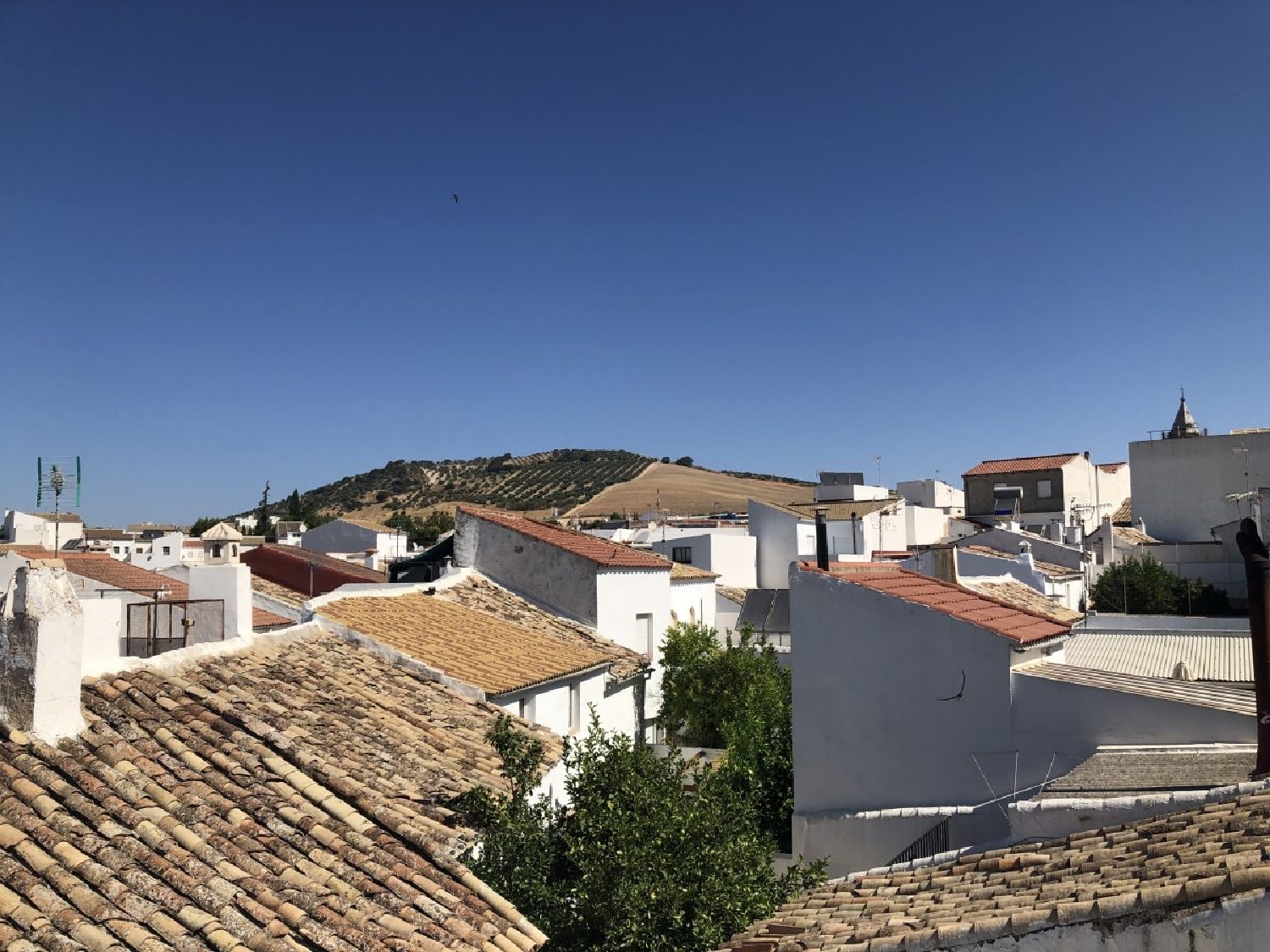  en venta casa de pueblo Pruna Sierra Sur 14