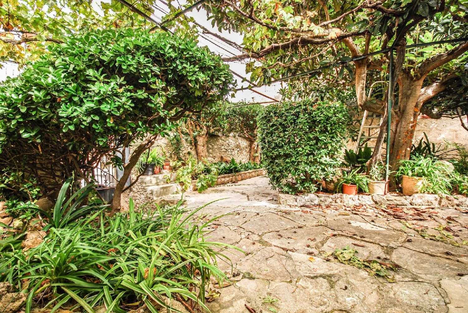  for sale terraced house Puigpunyent Tramuntana 4