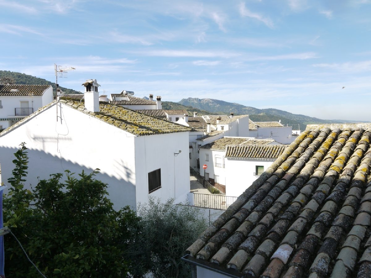  à vendre maison de ville Zahara De La Sierra Sierra De Cádiz 11
