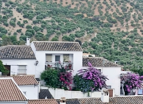 Zahara De La Sierra Sierra De Cádiz Reihenhaus Bild 6271191