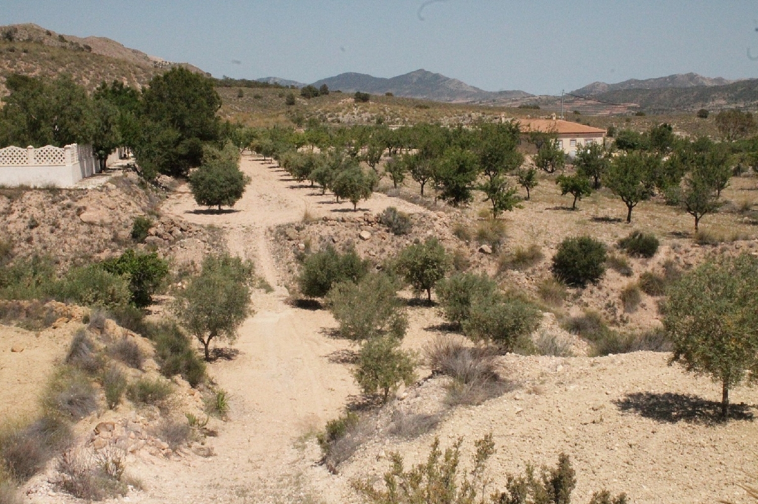  en venta chalet Abanilla Oriental 13