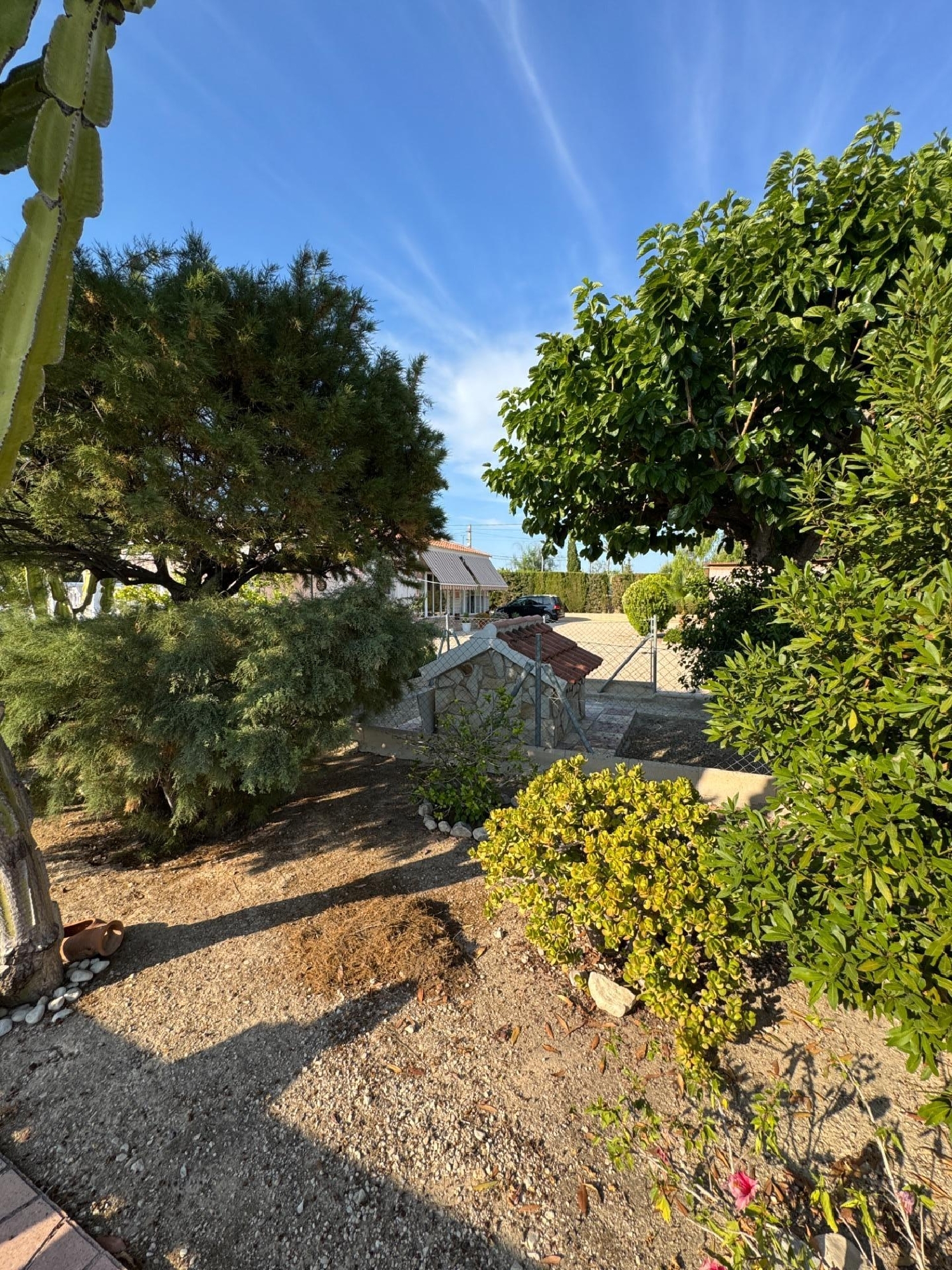  for sale villa Albatera Baix Segura 7