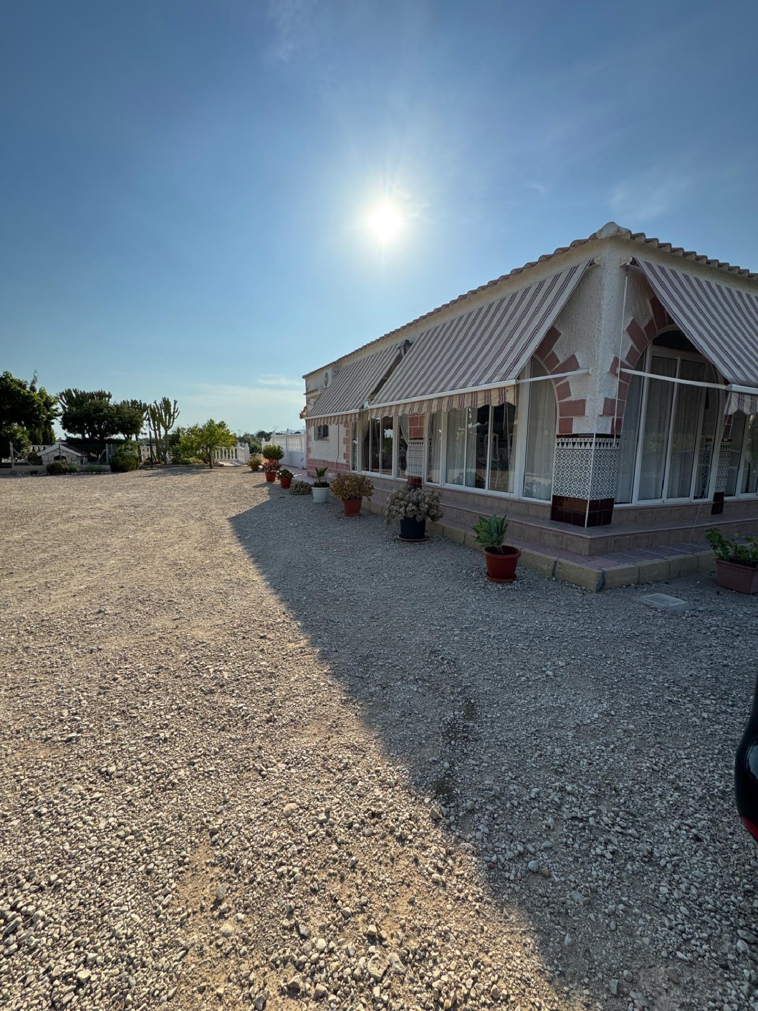  for sale villa Albatera Baix Segura 3