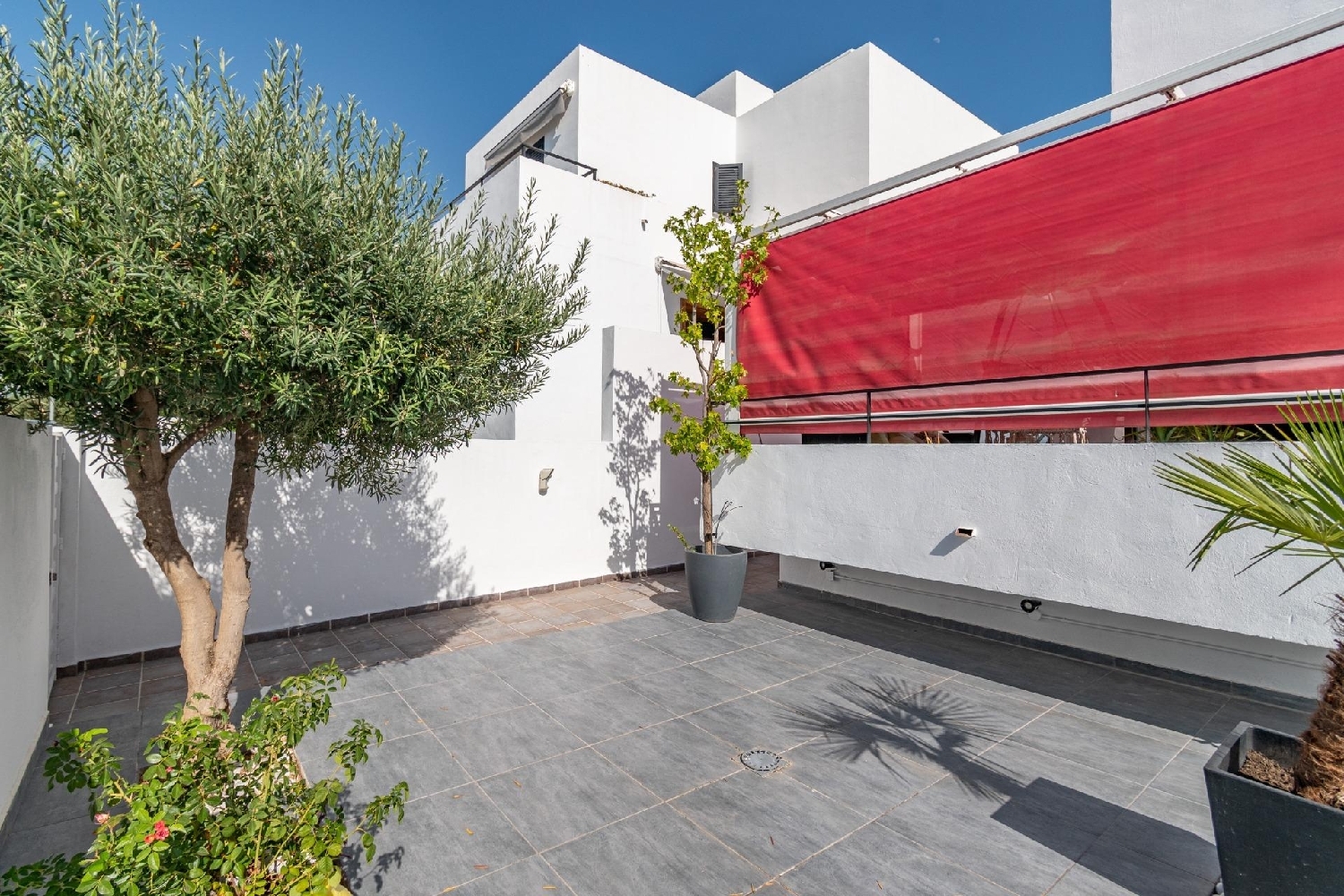  à vendre villa Albolote Vega De Granada 4