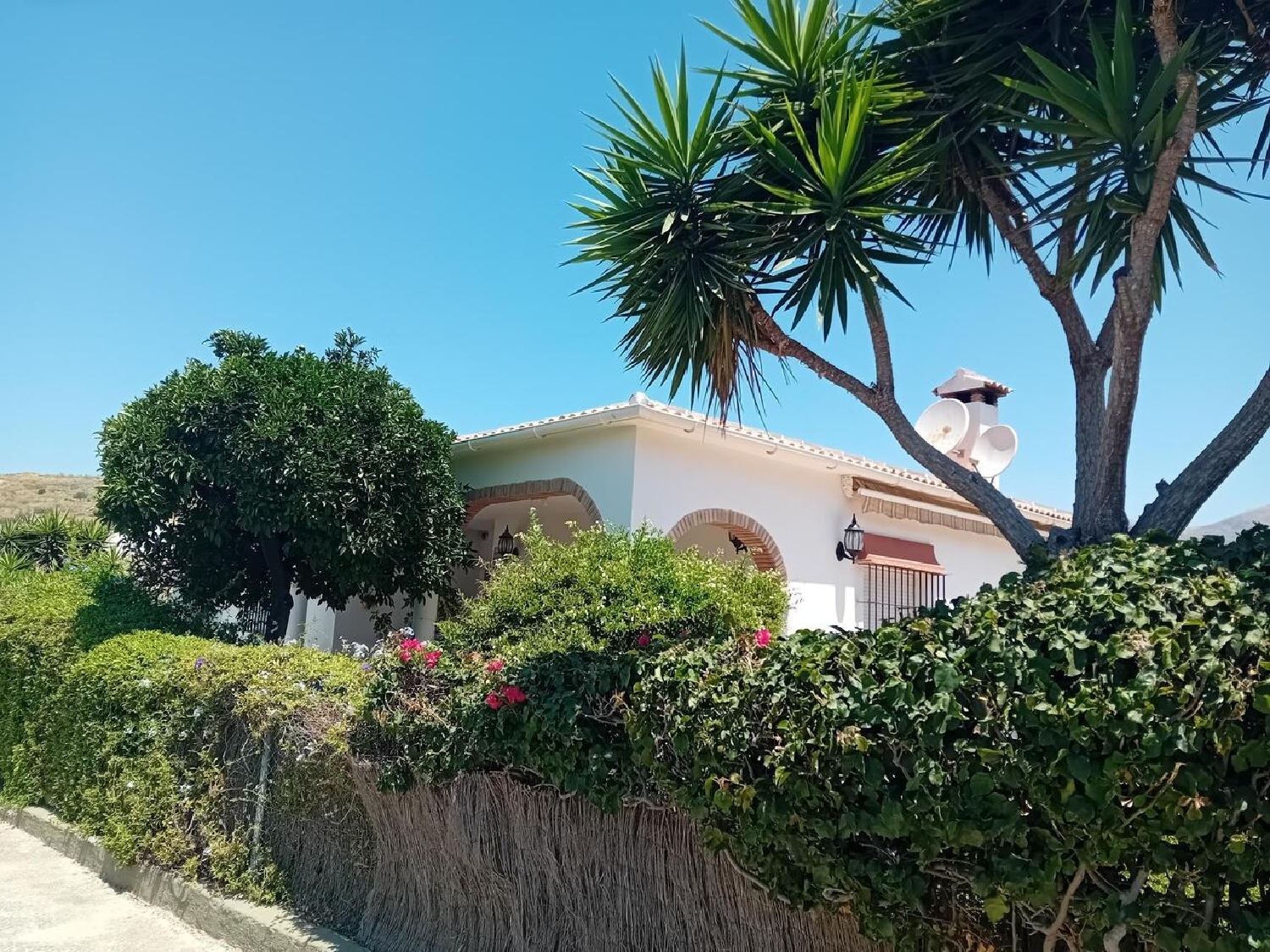  till salu villa Alcaucín Axarquía 1