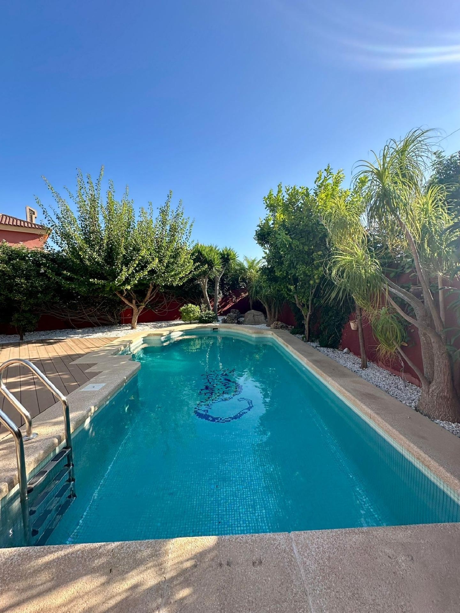 à vendre villa Algorfa Baix Segura 3