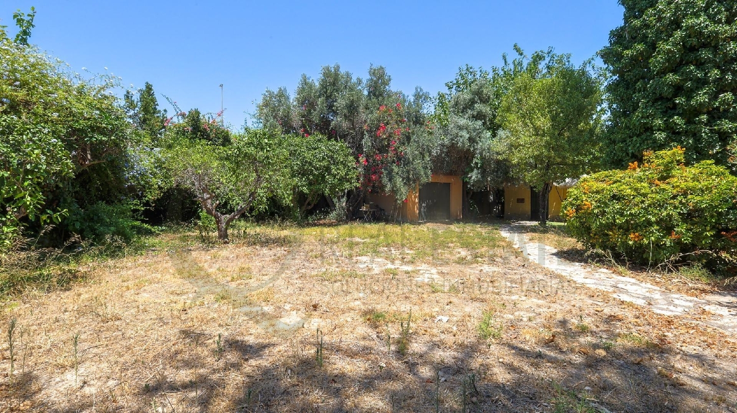  à vendre villa Alicante Centro 03001 Alacantí 6