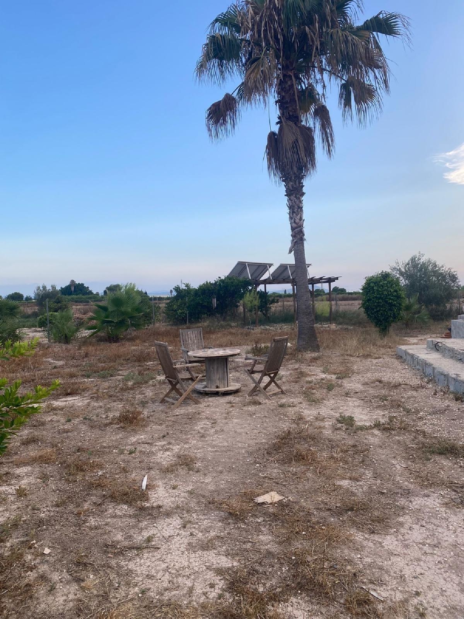  te koop villa Benejúzar Baix Segura 7