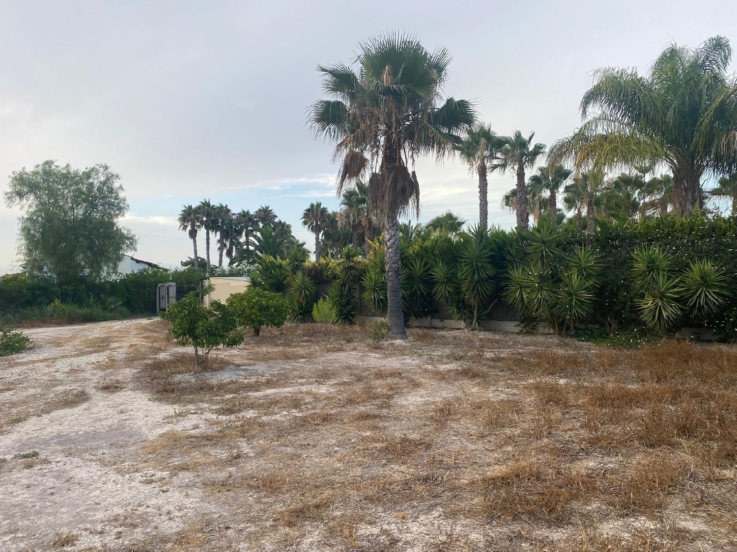  te koop villa Benejúzar Baix Segura 4