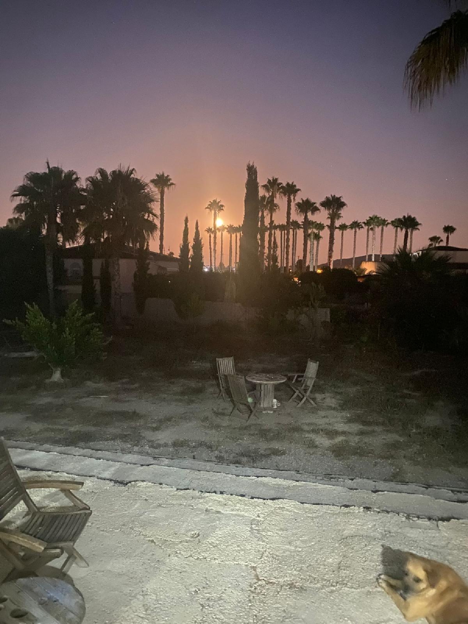 te koop villa Benejúzar Baix Segura 3