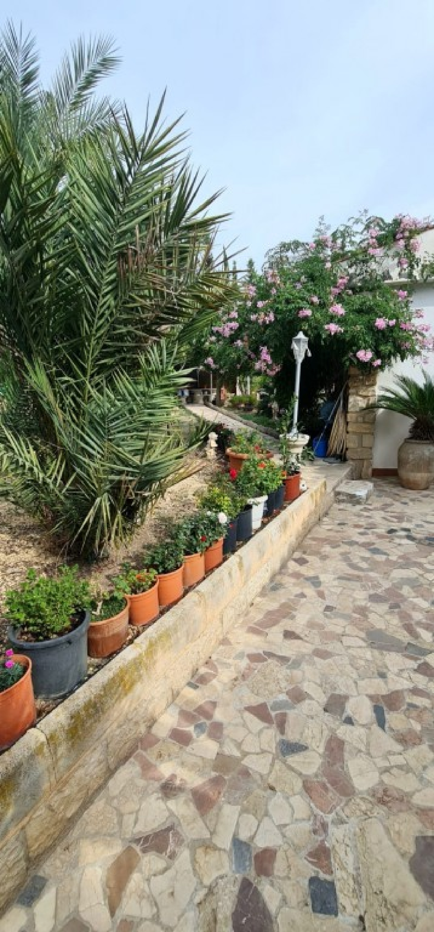  kaufen Villa Benidorm Marina Baixa 5