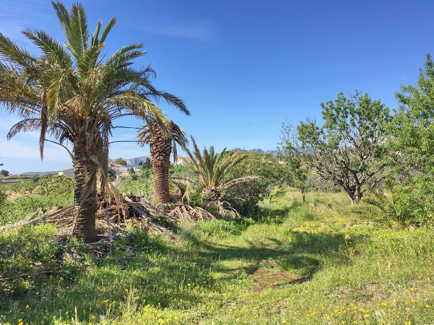  kaufen Villa Benissa Marina Alta 5