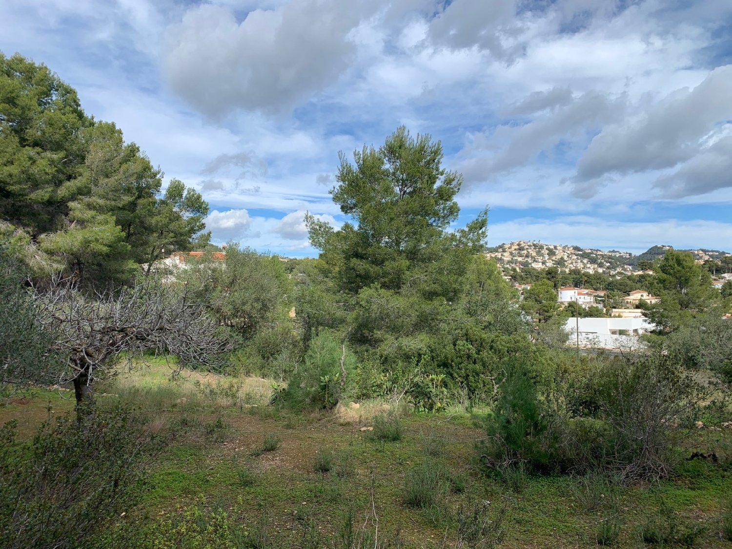  kaufen Villa Benissa Marina Alta 13