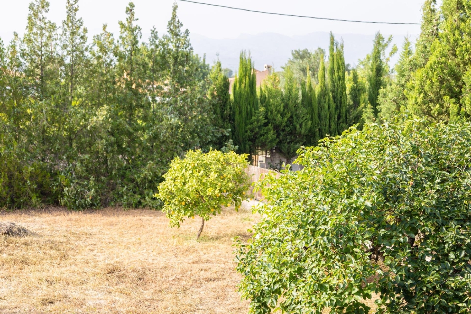  à vendre villa Bétera Camp De Túria 1