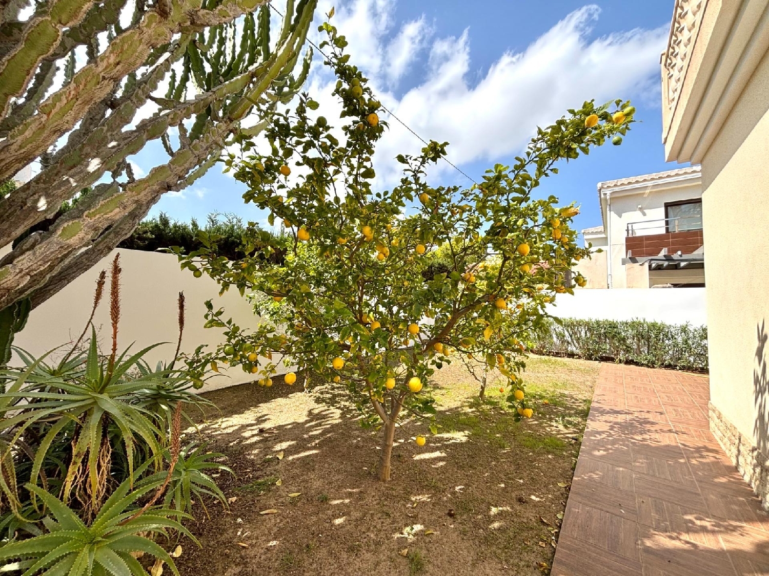  te koop villa Cabo Roig Baix Segura 7