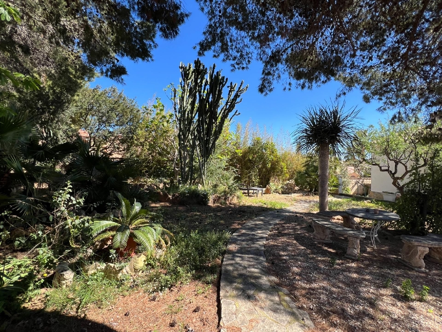  à vendre villa Calpe Marina Alta 9