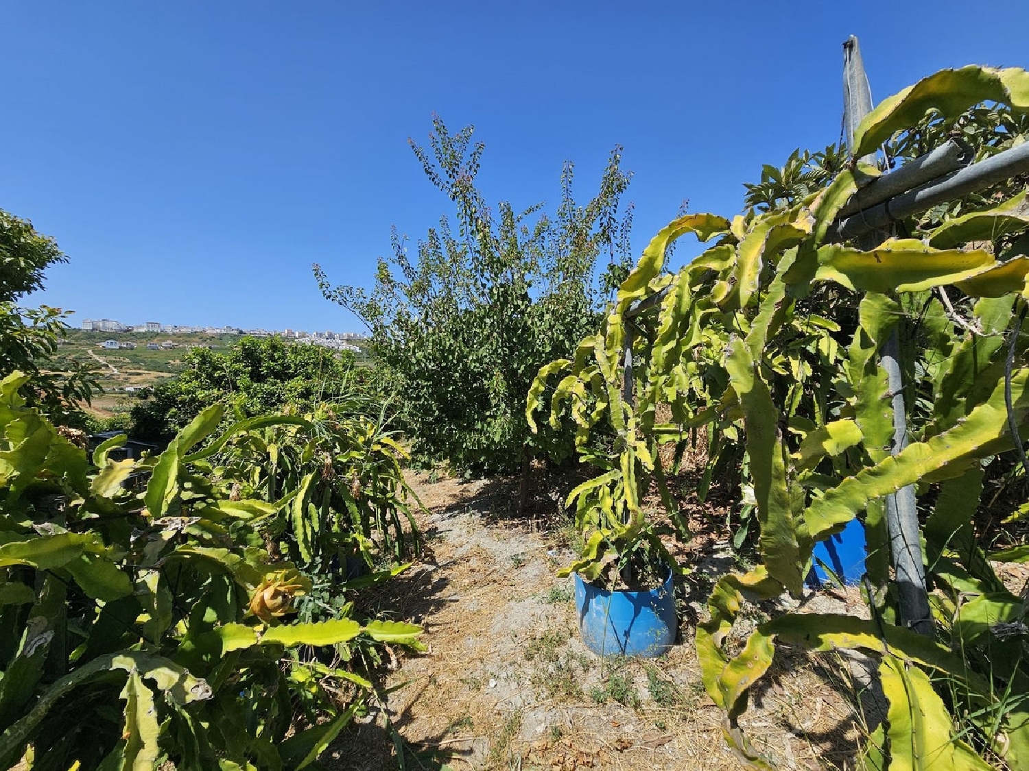  te koop villa Casares Costa Del Sol Occidental 5