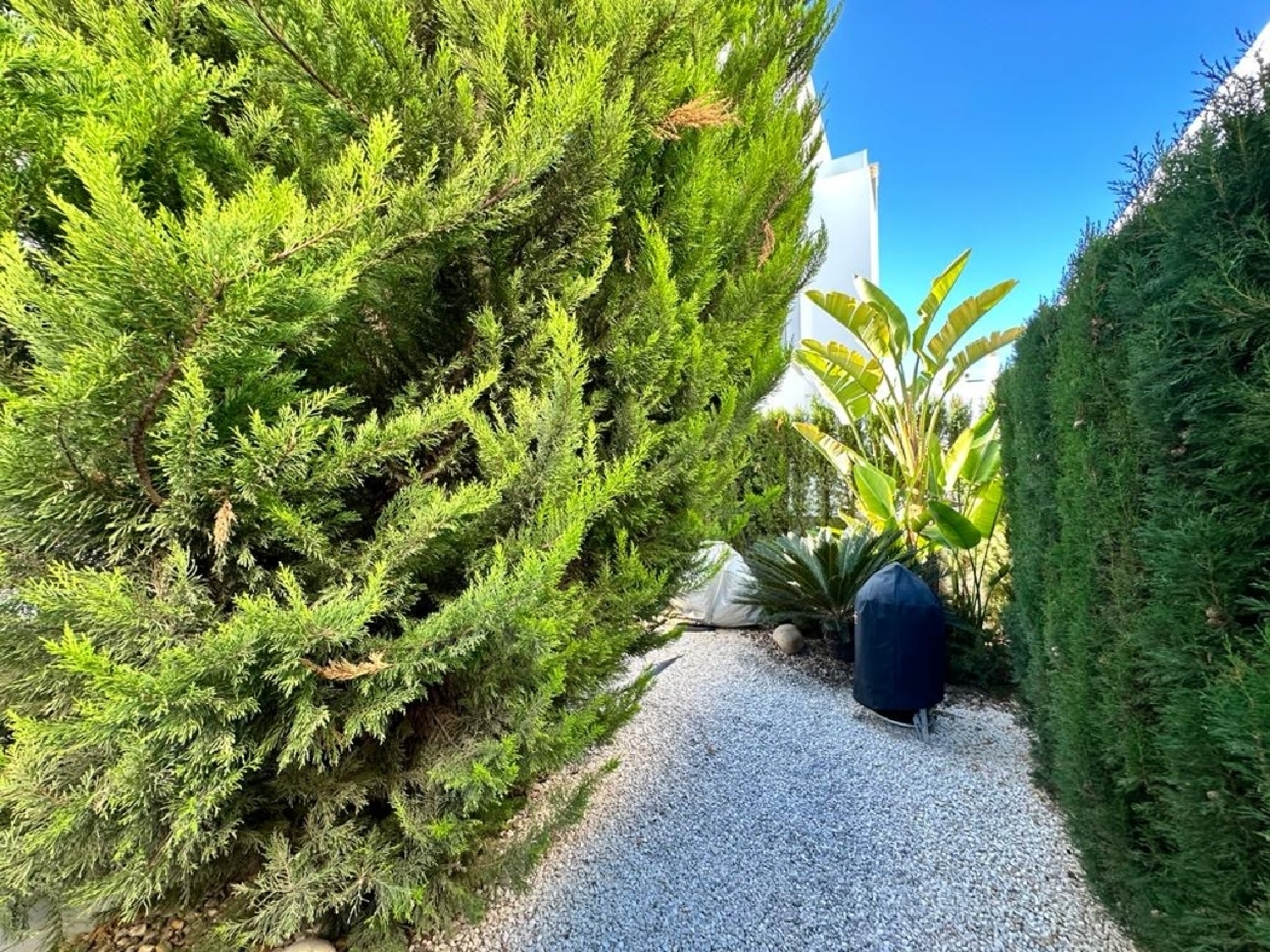  kaufen Villa Daya Vieja Baix Segura 7