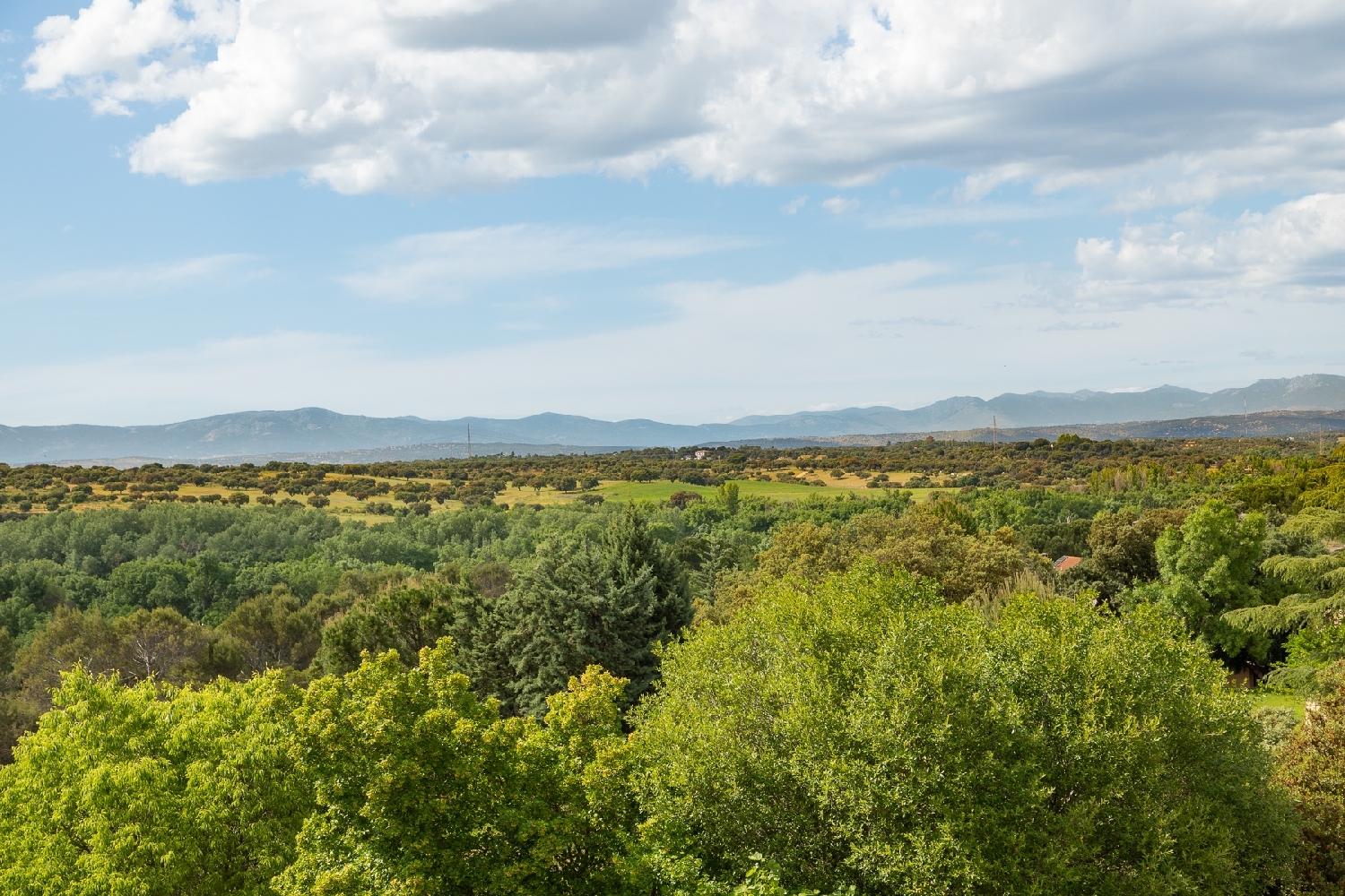  à vendre villa El Bosque Sur 7