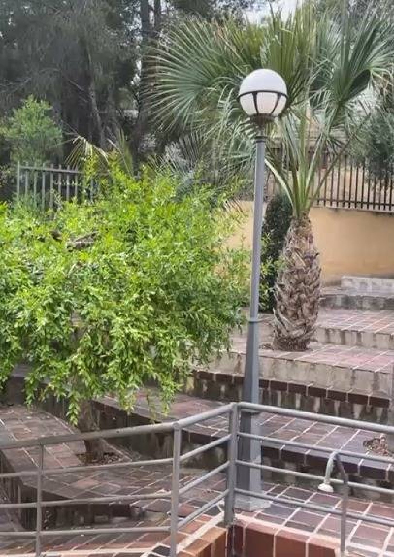  for sale villa El Palmar Janda (La) 5