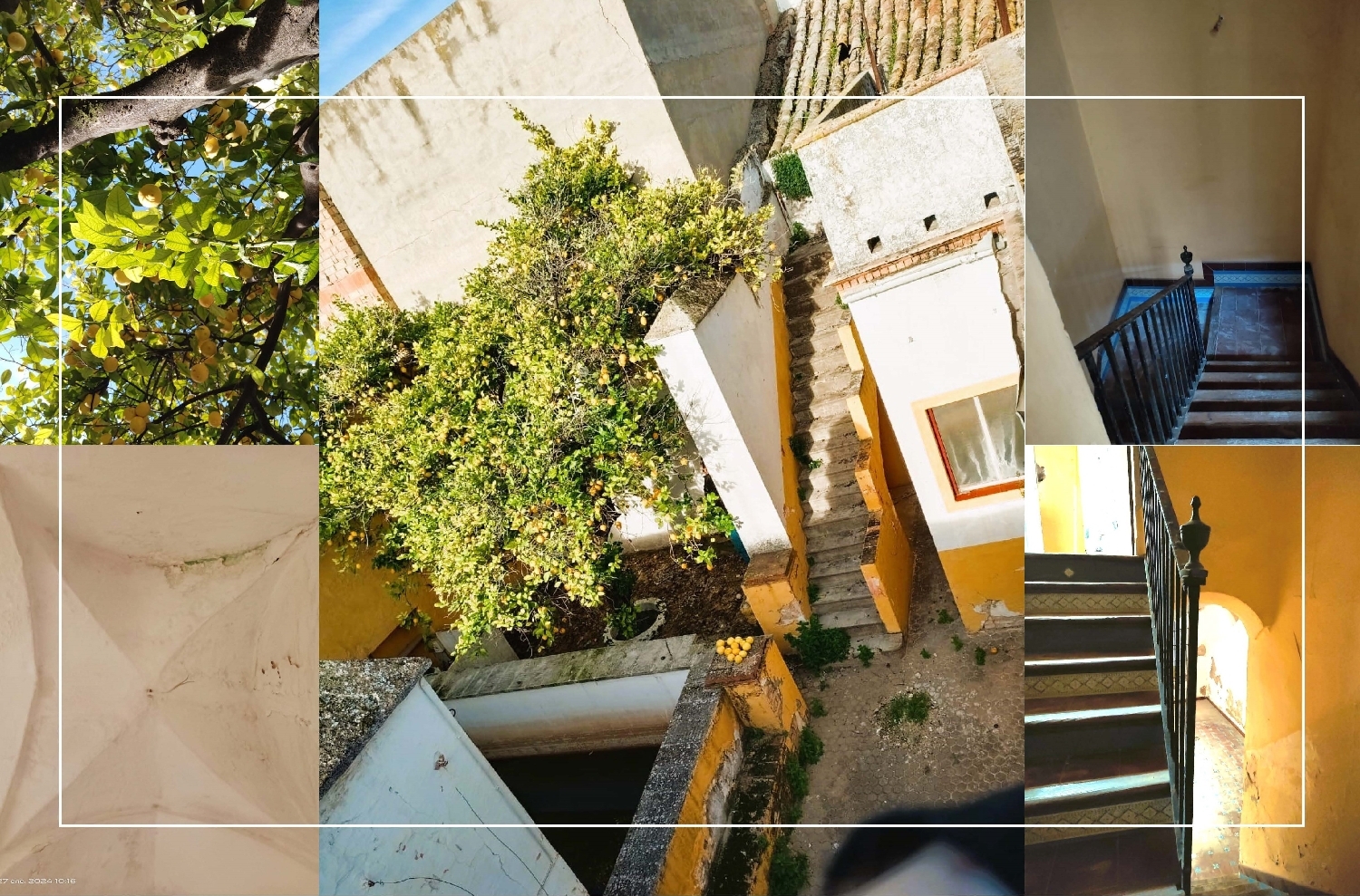  kaufen Villa El Pino Grande Campiña De Carmona 4