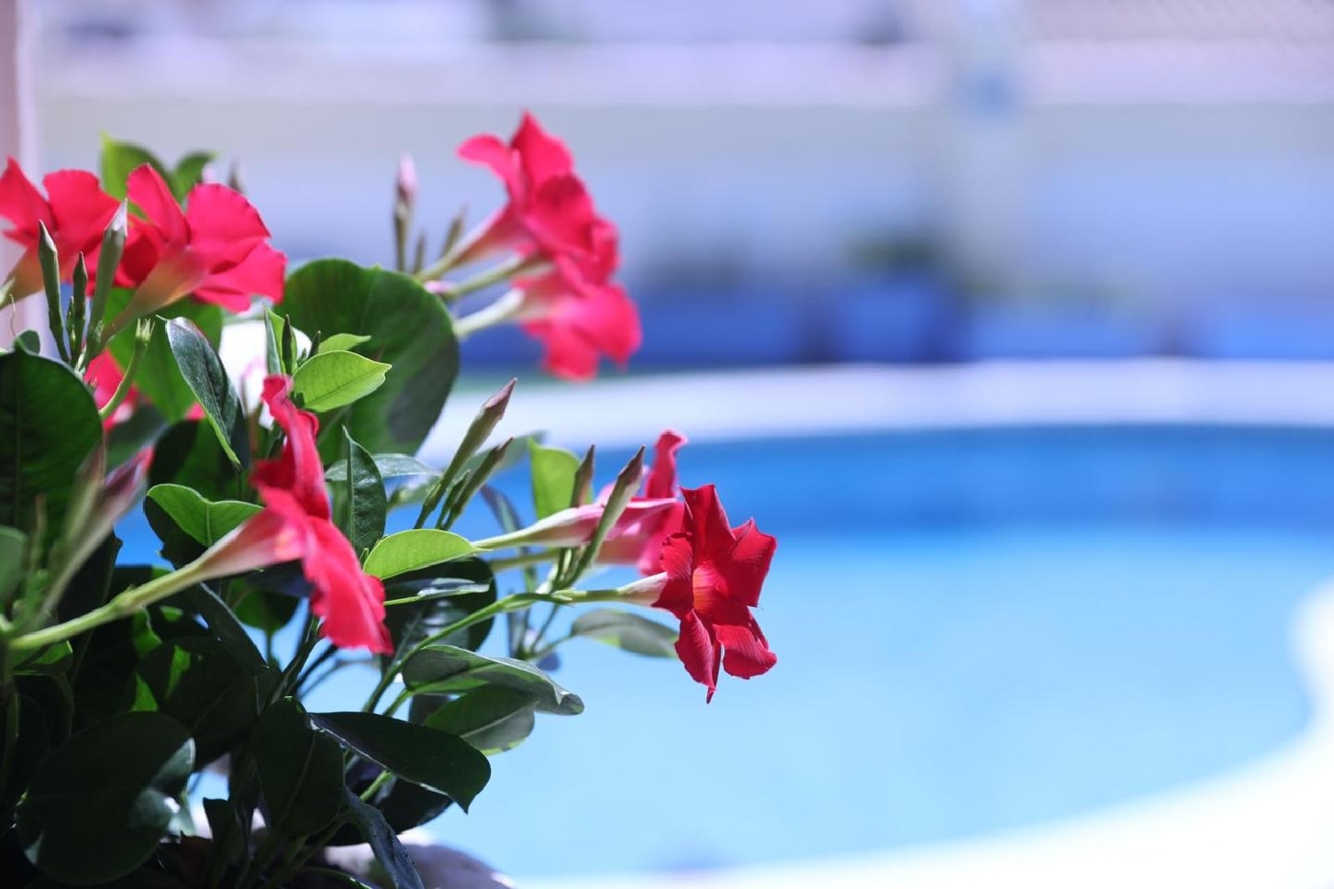 te koop villa Empuriabrava Alt Empordà 13
