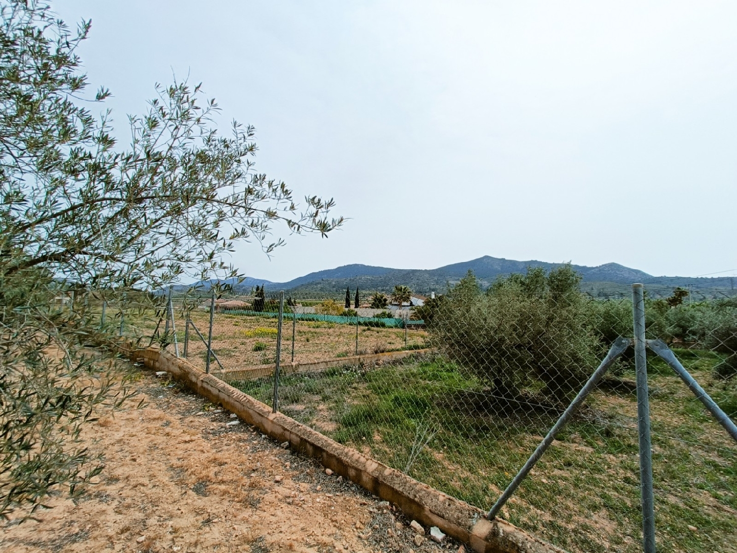  kaufen Villa Hondón De Los Frailes Vinalopó Mitjà 40