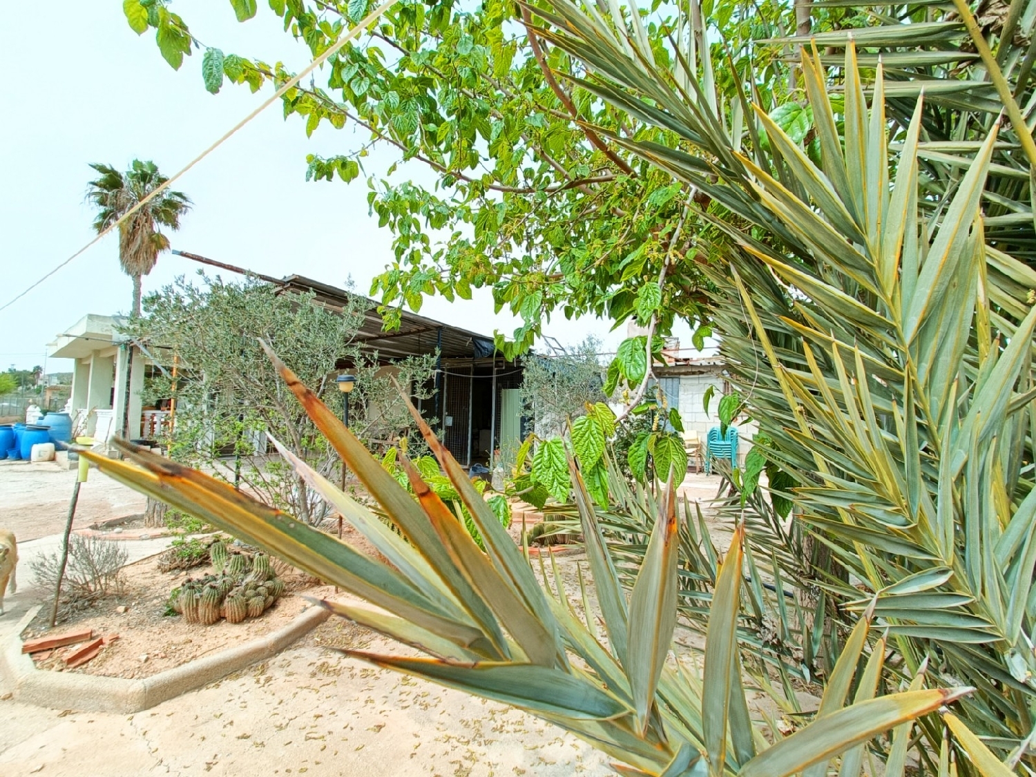 till salu villa Hondón De Los Frailes Vinalopó Mitjà 3