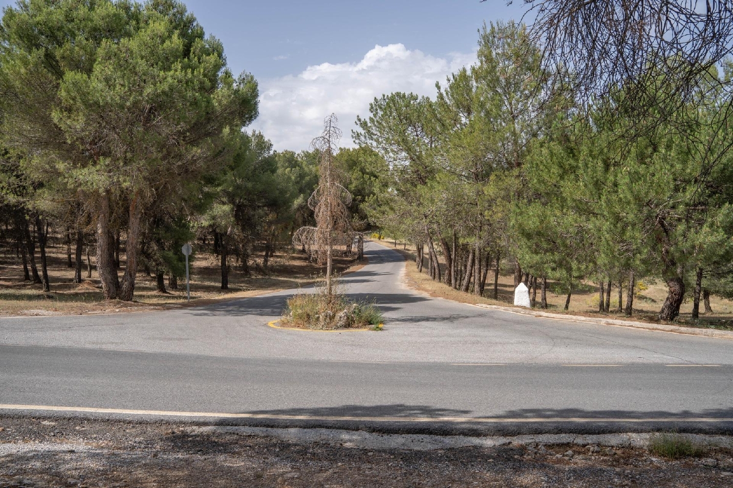 à vendre villa La Zubia Vega De Granada 2