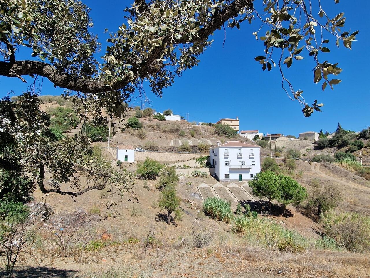  en venta chalet Las Casillas Axarquía 7