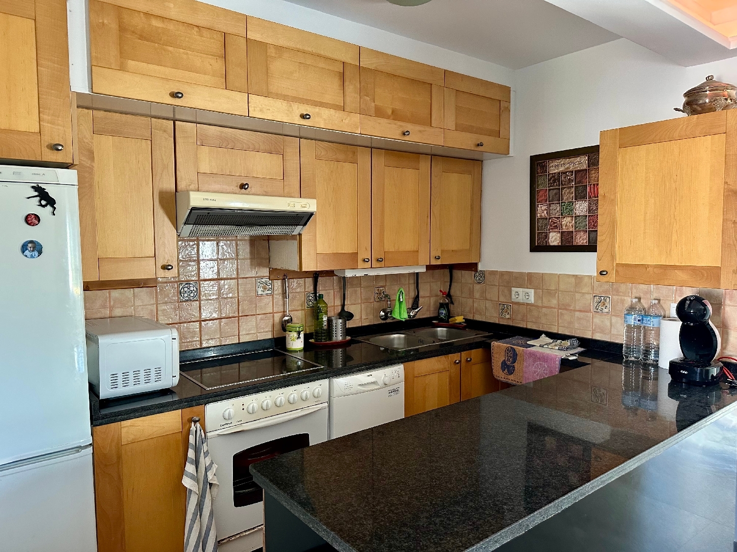  for sale villa Manilva Costa Del Sol Occidental 5