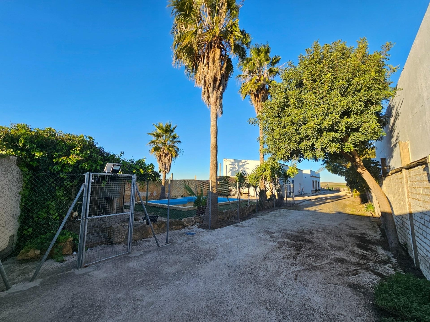  à vendre villa Marchena Campiña De Morón Y Marchena 1