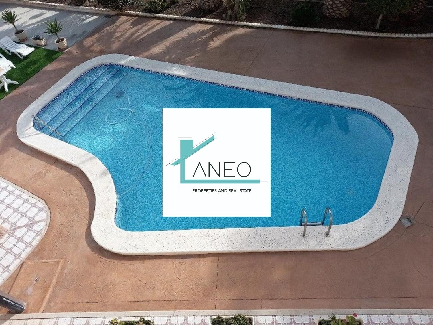  te koop villa Monóvar Vinalopó Mitjà 8