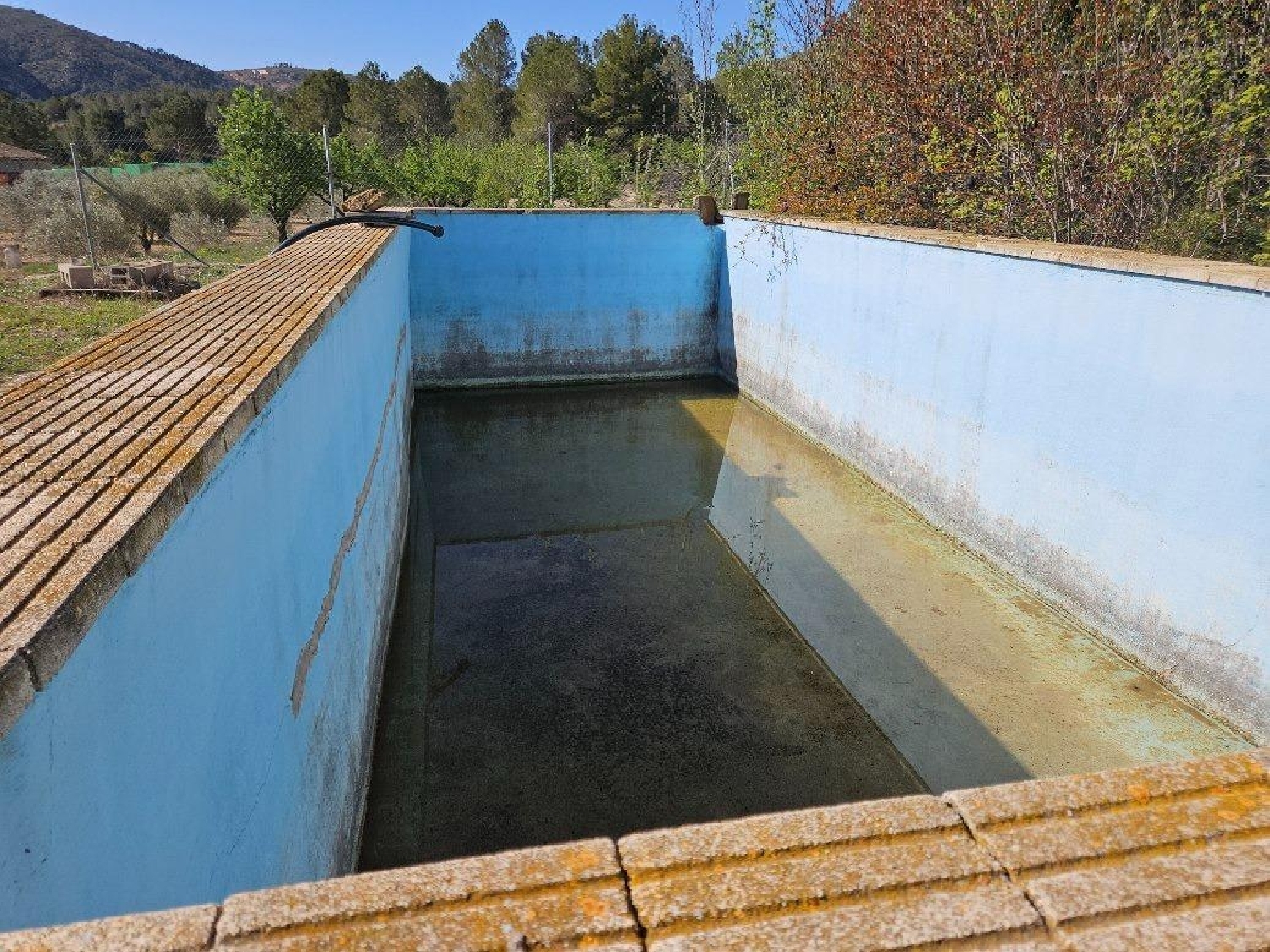  te koop villa Monóvar Vinalopó Mitjà 5