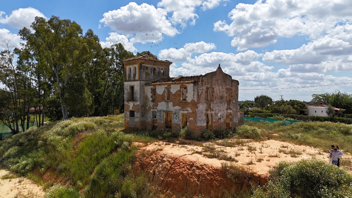  te koop villa Olivares Aljarafe 1