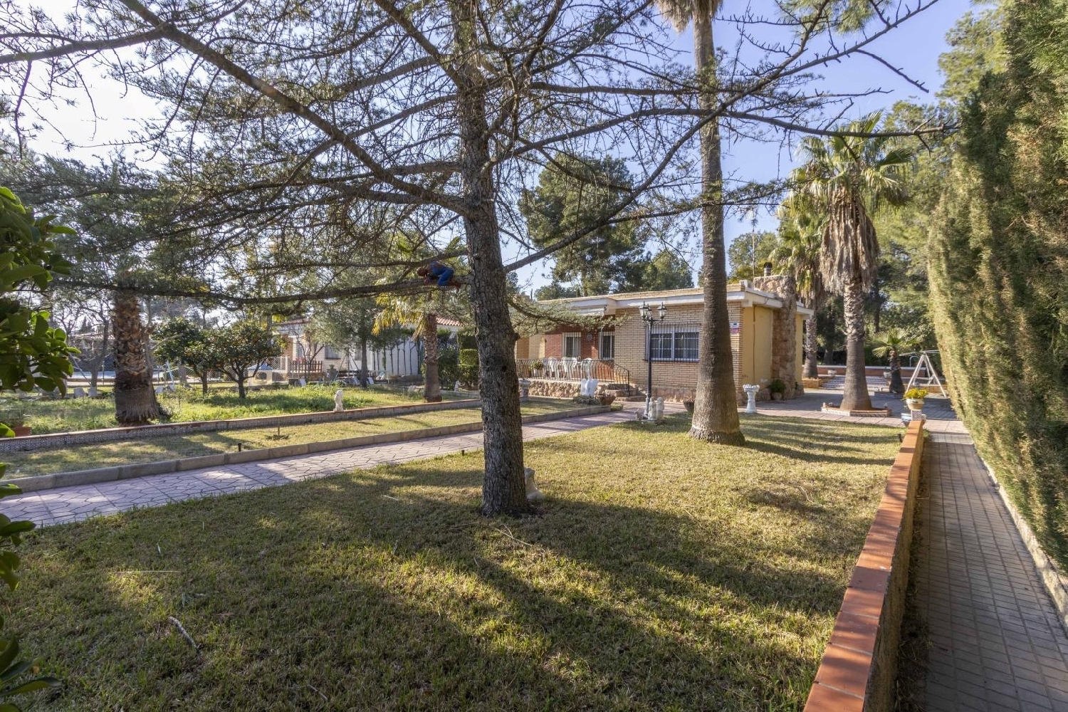  kaufen Villa Olocau Camp De Túria 3