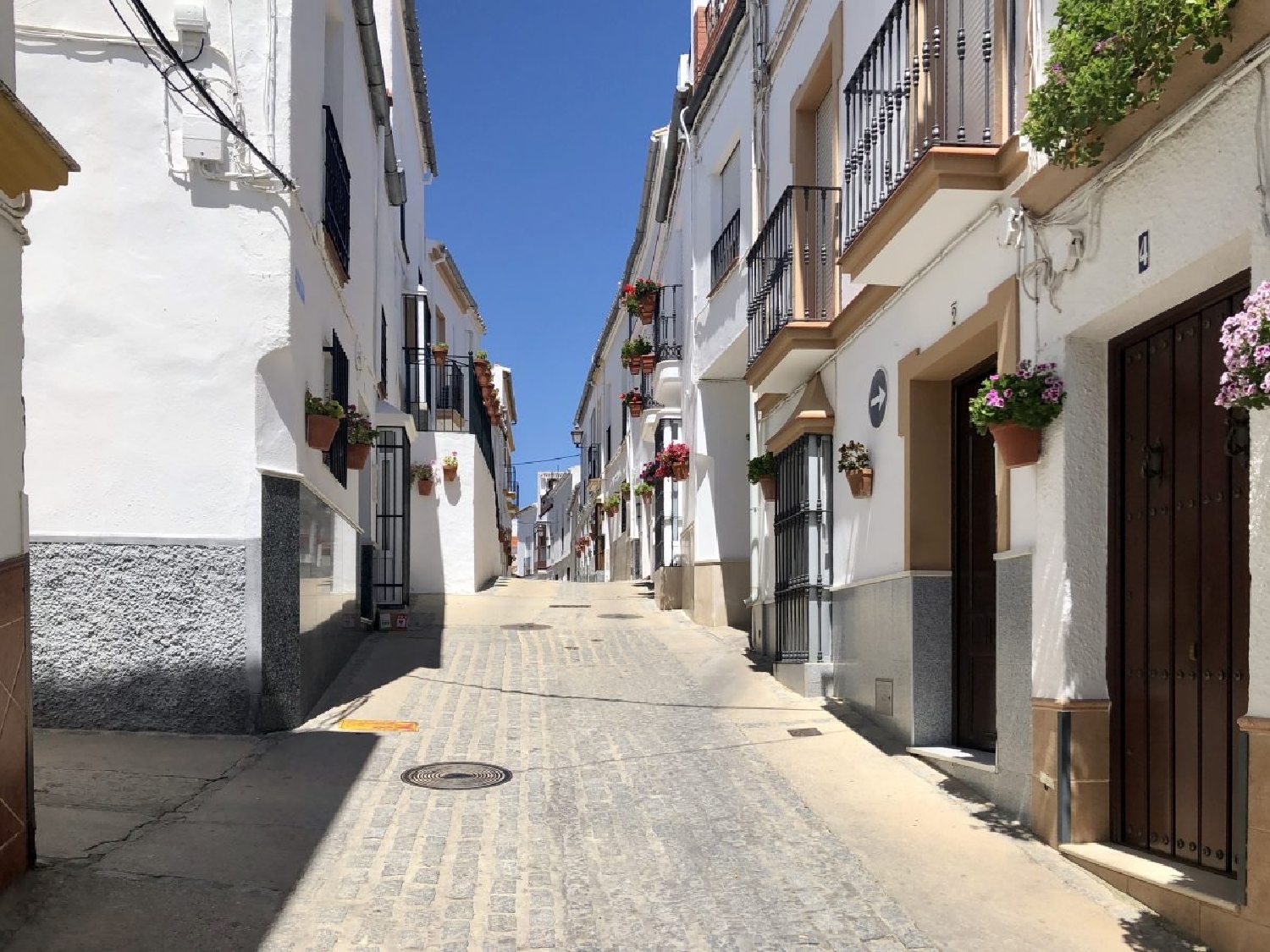  à vendre villa Olvera Sierra De Cádiz 8