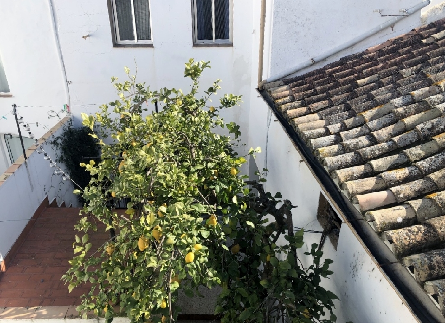  kaufen Villa Olvera Sierra De Cádiz 12