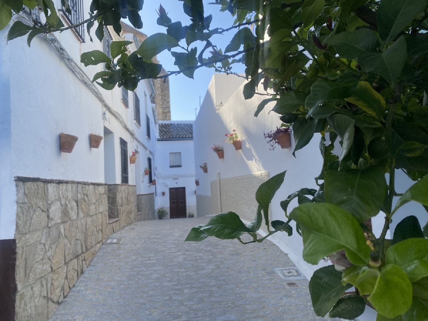  en venta chalet Olvera Sierra De Cádiz 4