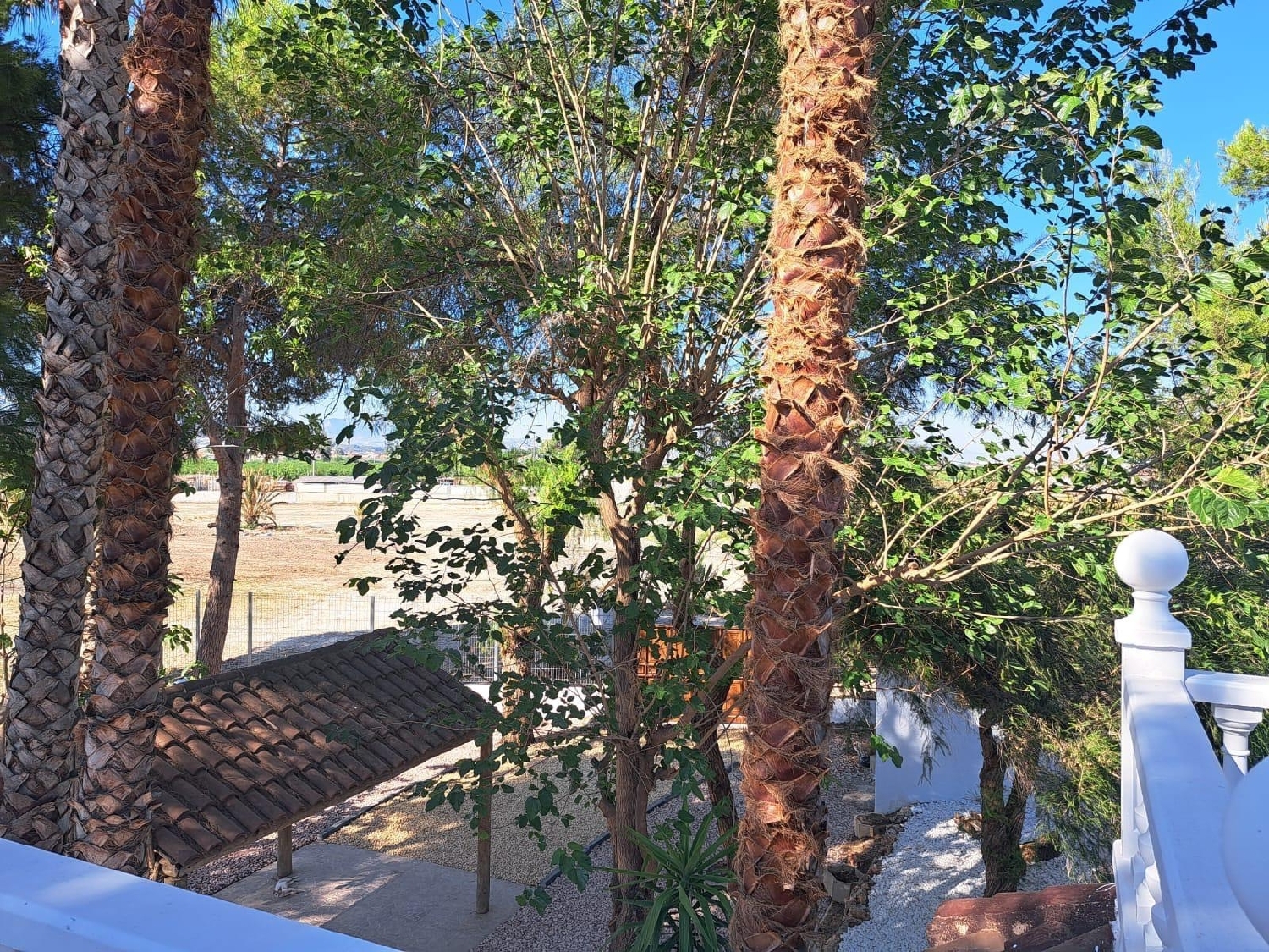  te koop villa Orihuela Baix Segura 6