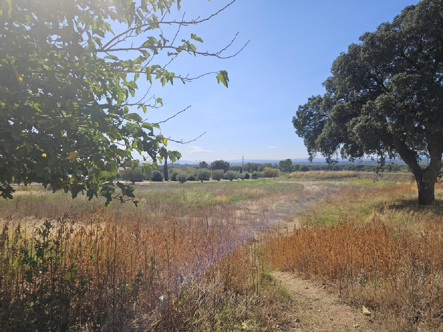  kaufen Villa Palau-Saverdera Alt Empordà 21