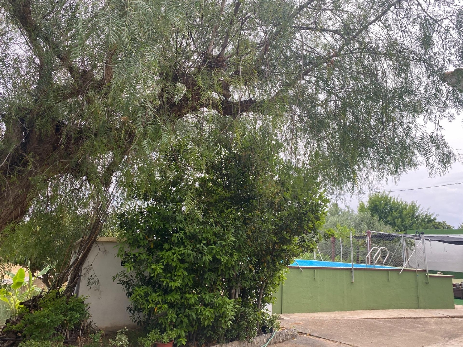  à vendre villa Pedralba Serranos (Los) 8