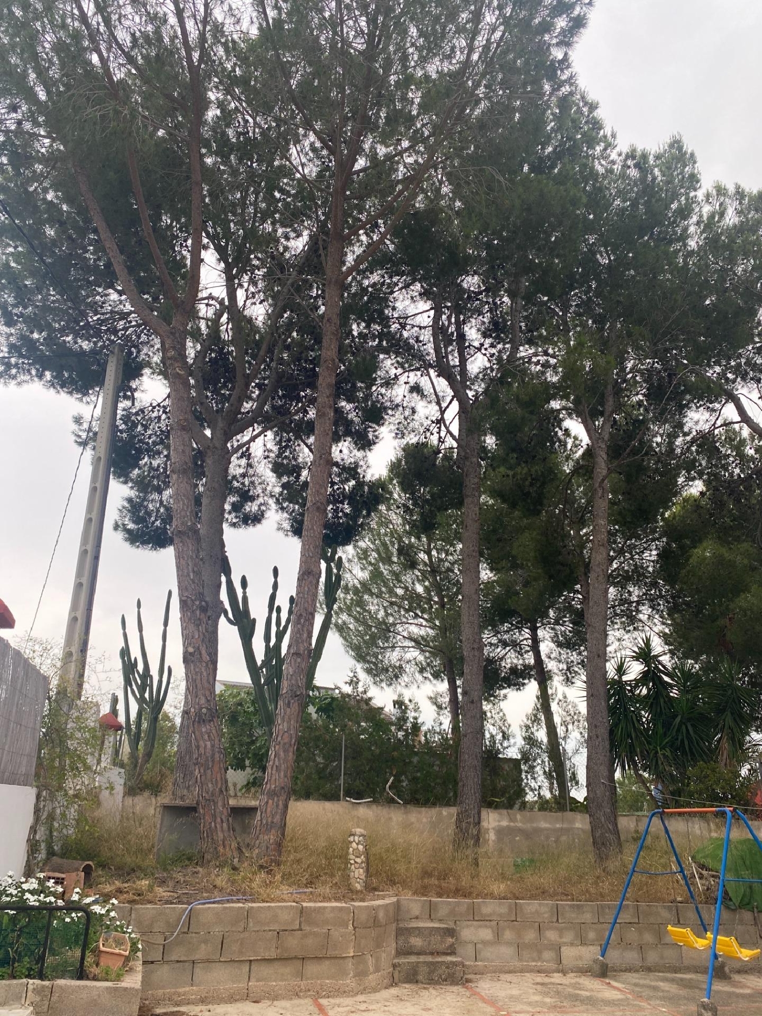  à vendre villa Pedralba Serranos (Los) 6