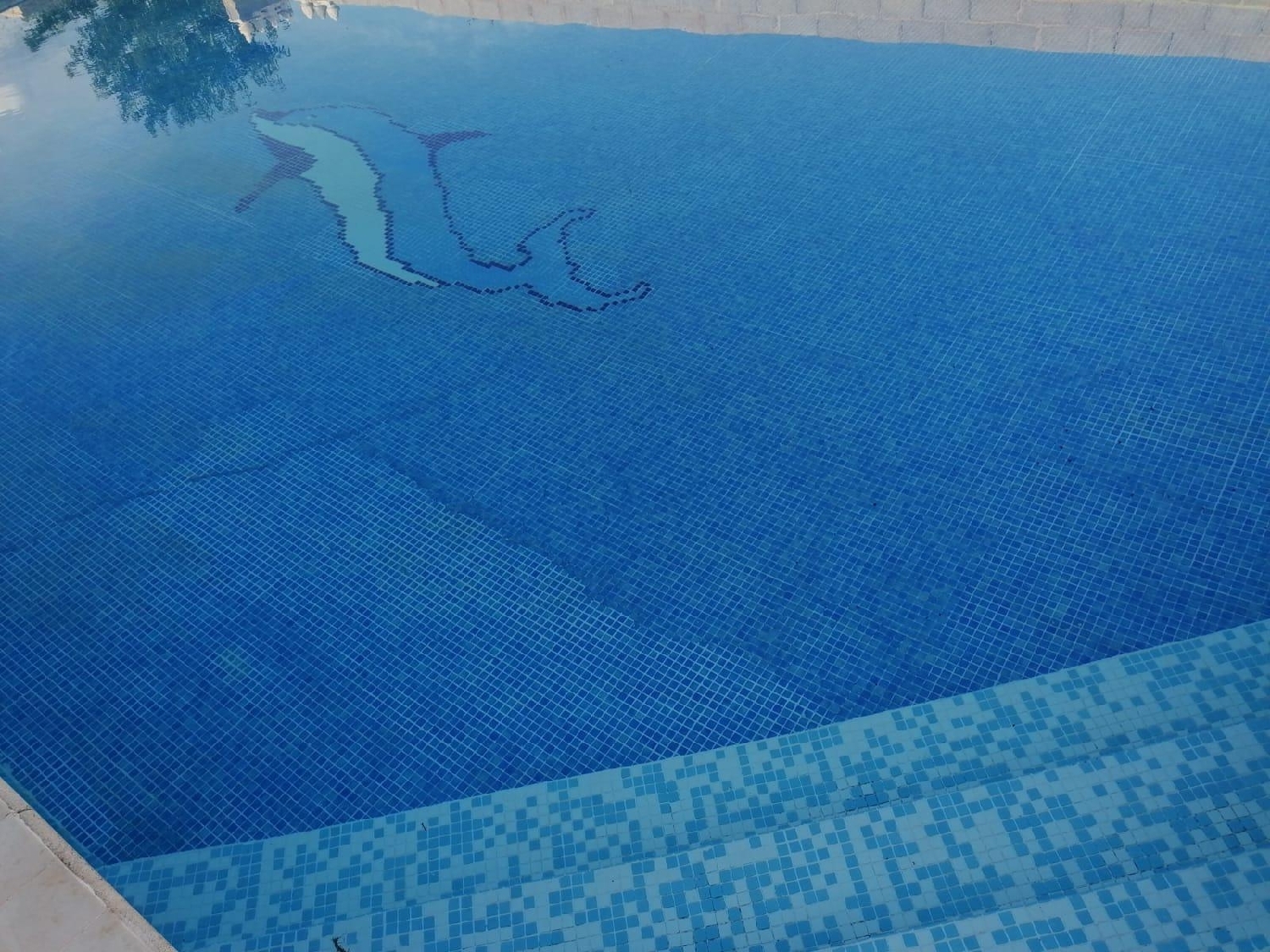  te koop villa Pedralba Serranos (Los) 7